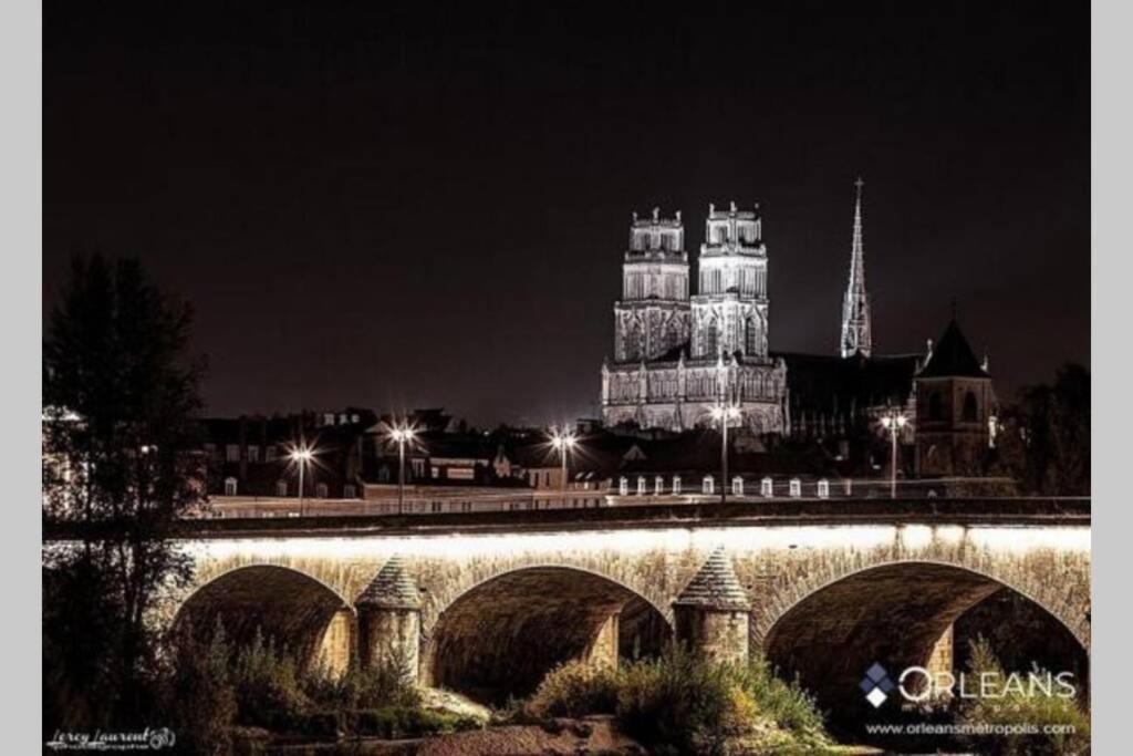 L'Authentique - Le Poirier Appartement Orléans Buitenkant foto